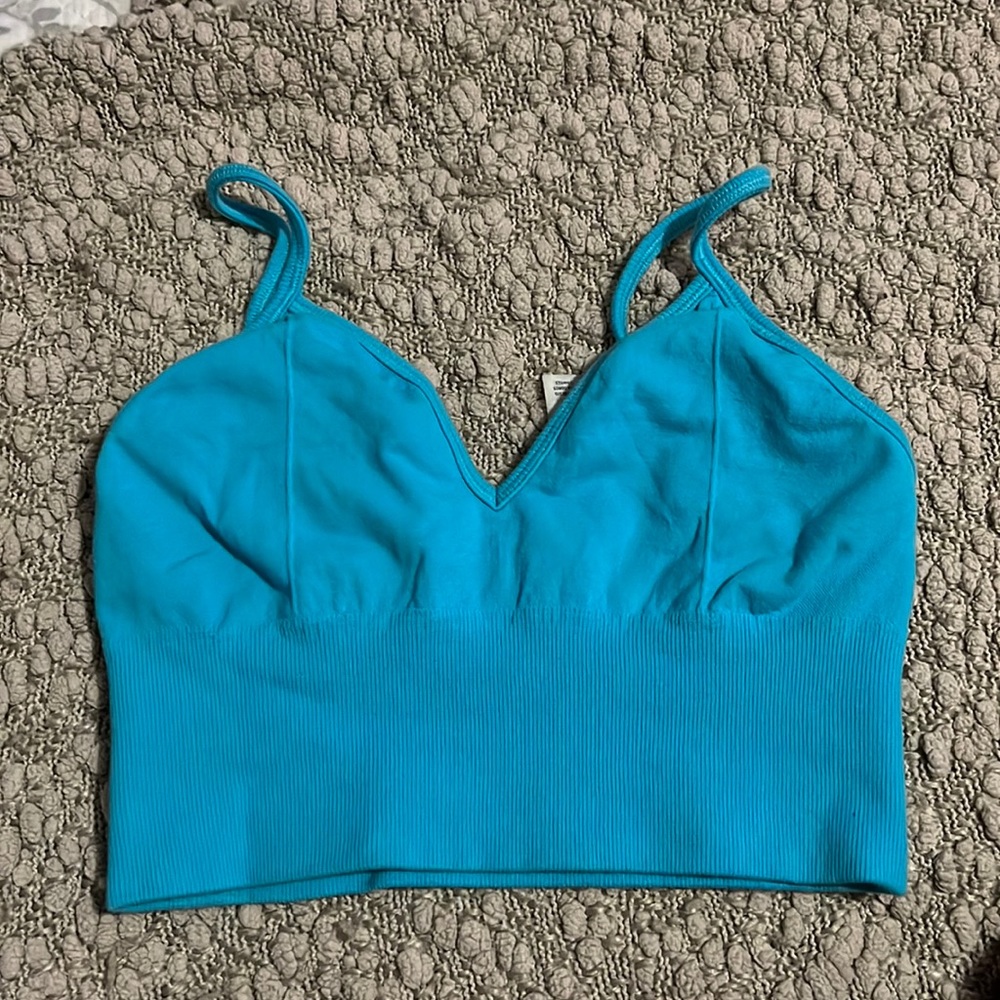Alo blue sports bra